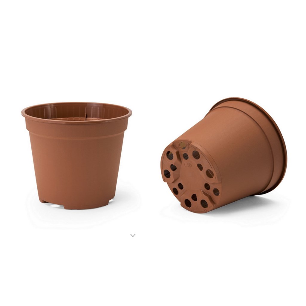 VASO FAST COTTO D. 12  LT.0,75